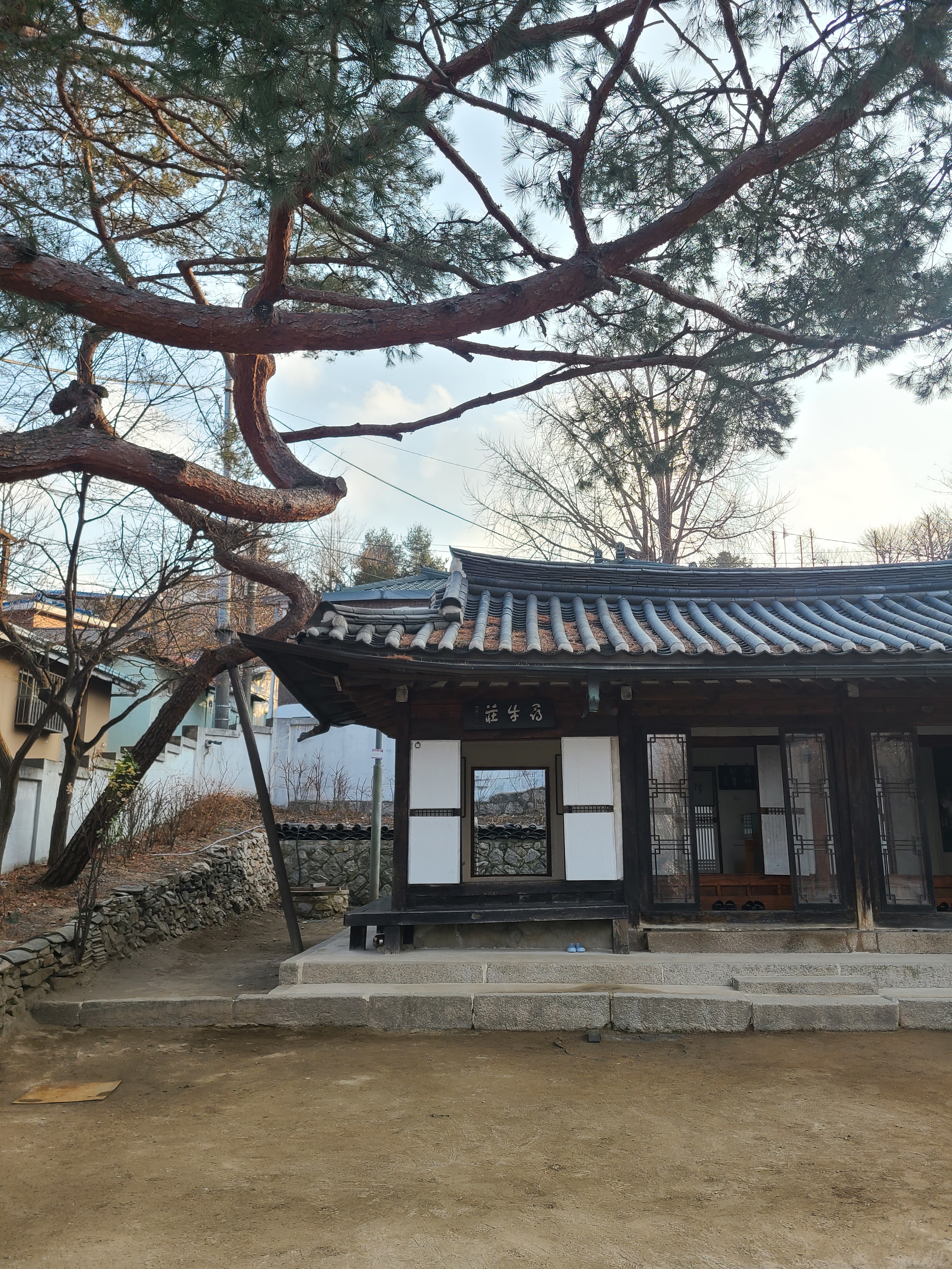 북정마을 심우장과 소나무